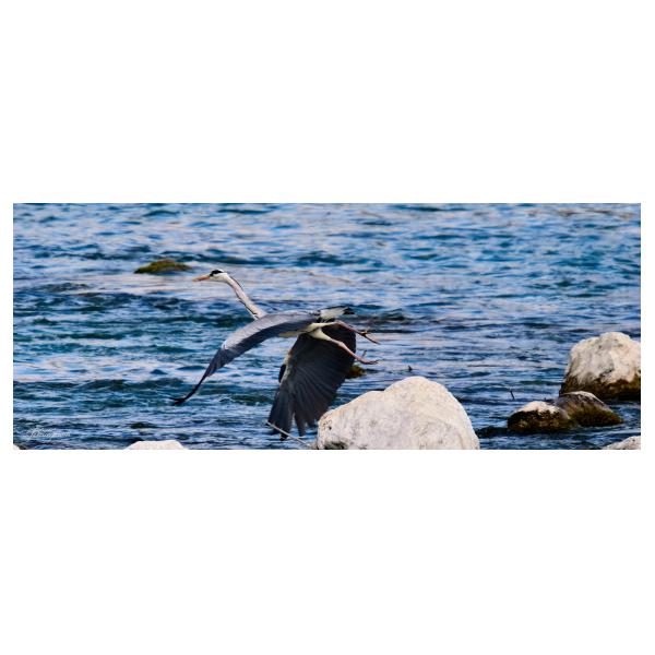 PHOTO84, CLUB, 84 , LUBERON